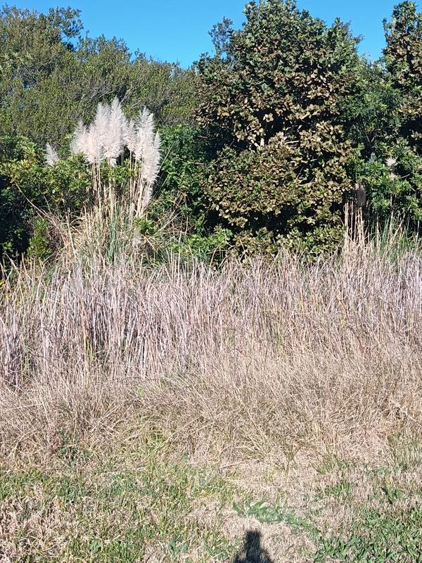 0 Bedroom Property for Sale in Albertinia Western Cape